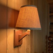 Cover image of Electric Lamp